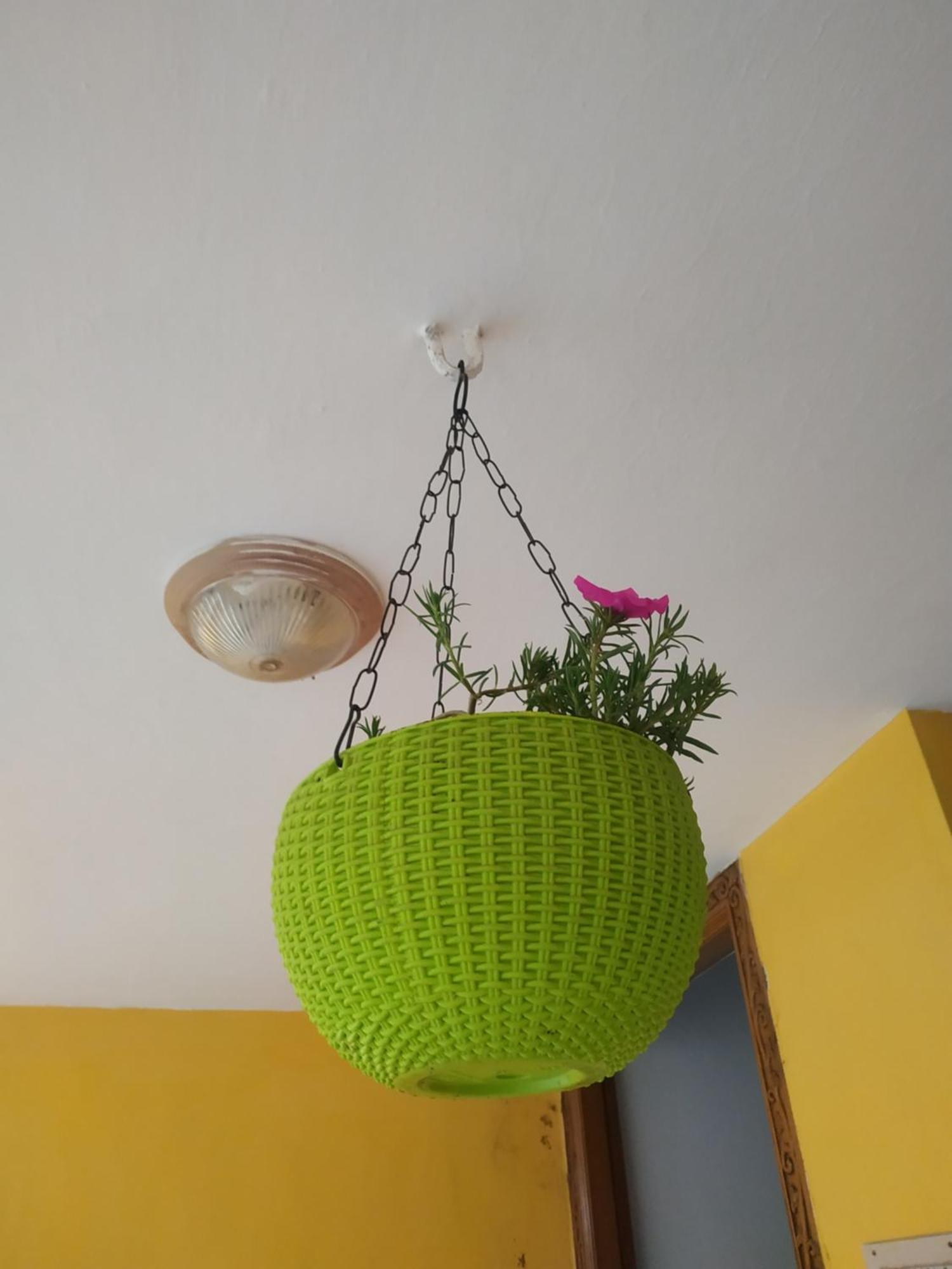 Mithu'S Nest-Ur Holiday Abode كويمباتور المظهر الخارجي الصورة